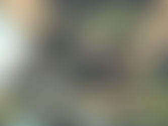 Embracing Winter Cooking: A Journey Through Comfort and Flavor