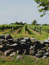 Little Compton, Rhode Island