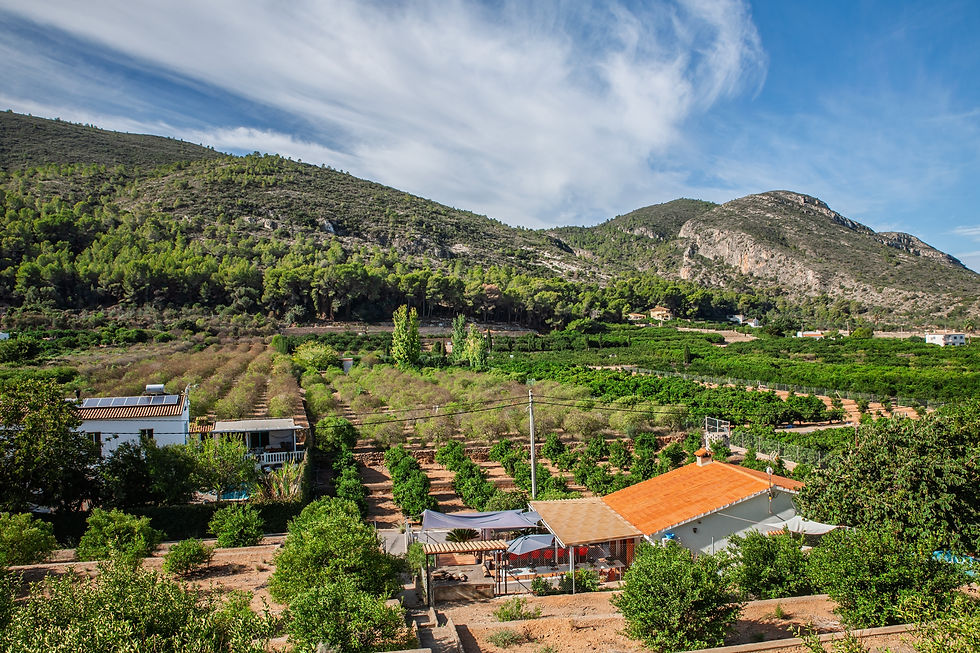 Farm in Valencia, Spaiin with Olive, Almond and Orange Groves
