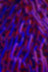 Chains - Harwich..jpg