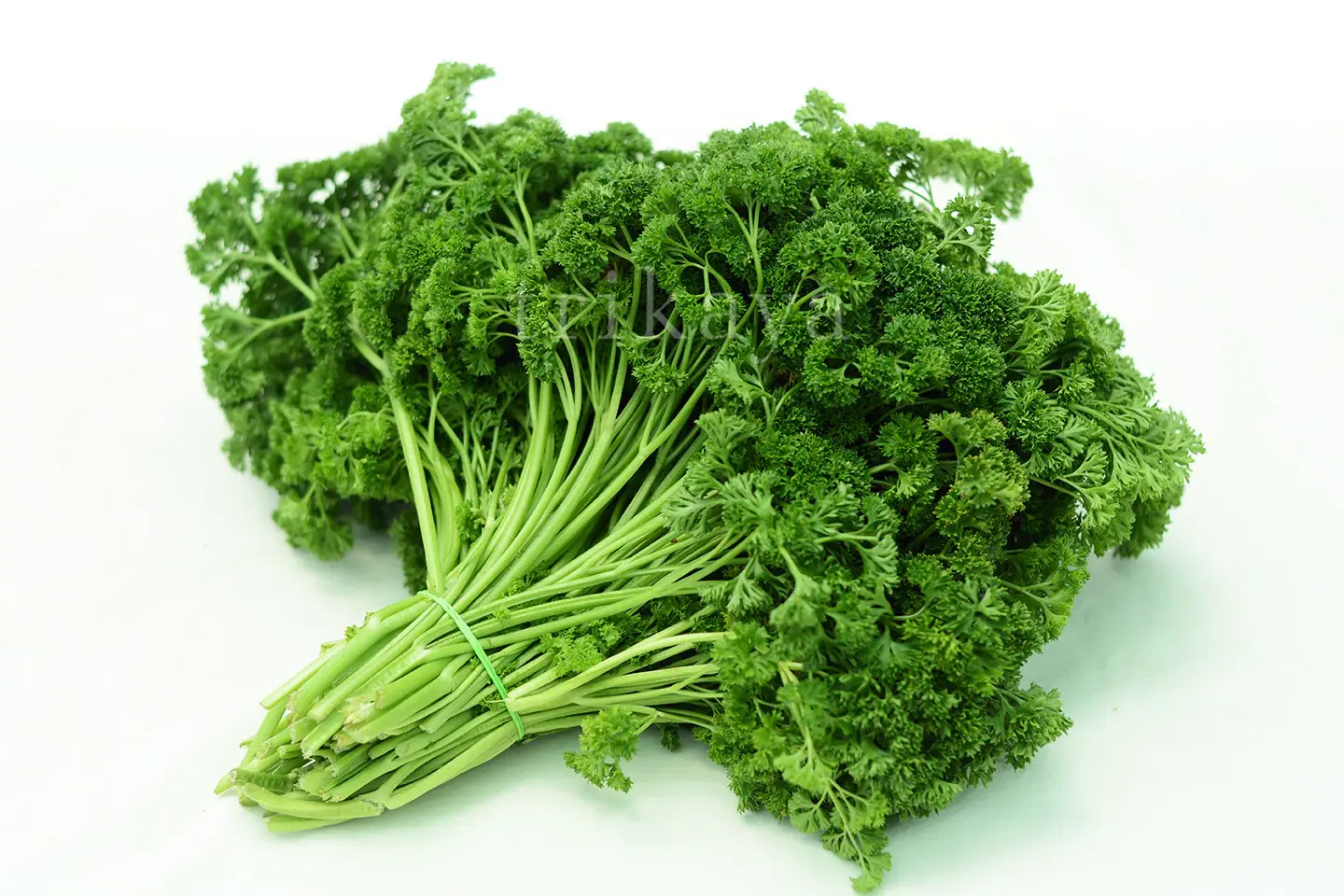 Curled Parsley (150gms)