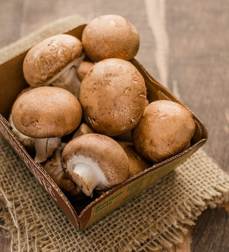 BABY PORTOBELLOS MUSHROOMS | Bombay Farming Co