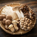 istock-1049990874-mushrooms (1).jpg