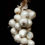 Thumbnail: ORGANIC WHITE ONION  1 BUNCH  APPROX 1.5KG))