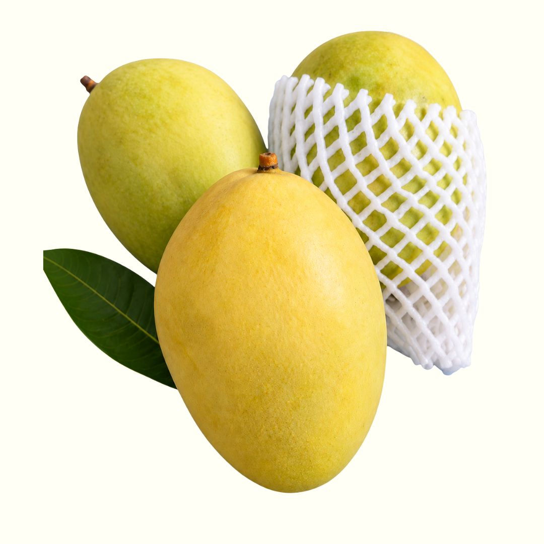 Egyptian Mangoes (PC)