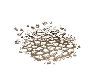 圖騰-02.png