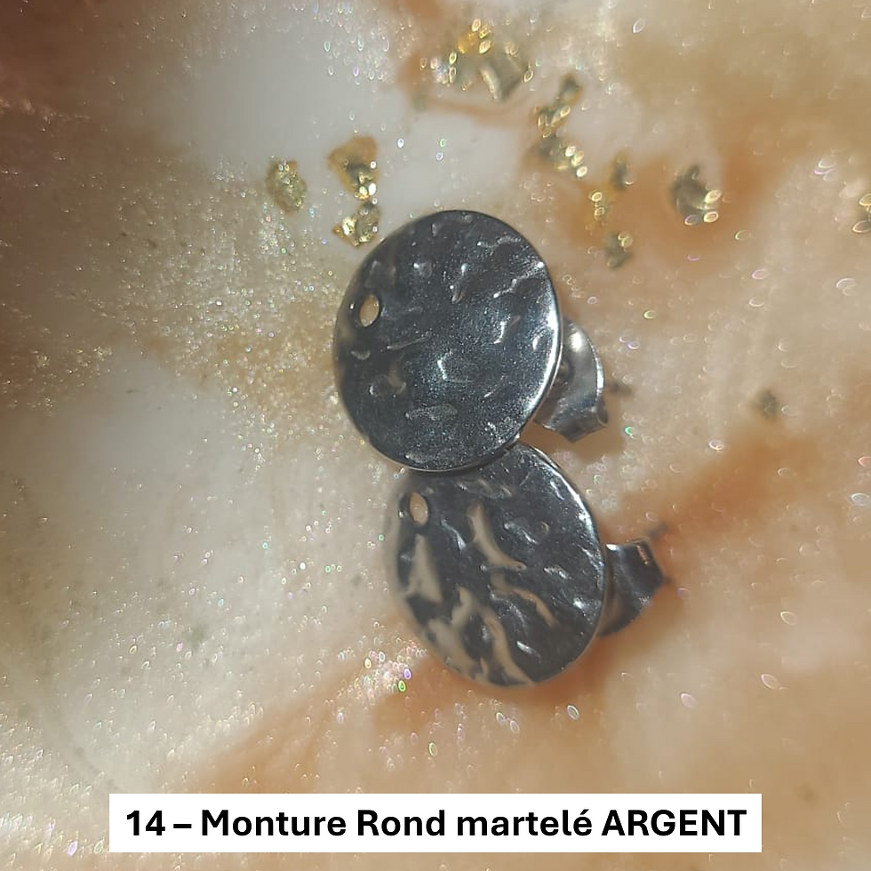 Miniature : Montures de Pampilles – Acier inox (argent)