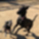 IMG_5851.jpeg
