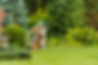 professional lawn care worker trimming bush