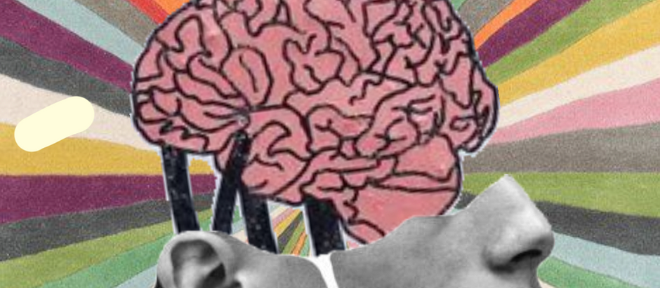 Neurociência Afetiva e Psicanálise: como o cérebro ajuda a compreender as emoções e a repetição de padrões