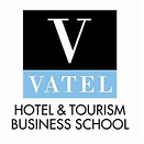 Vatel groupe logo
