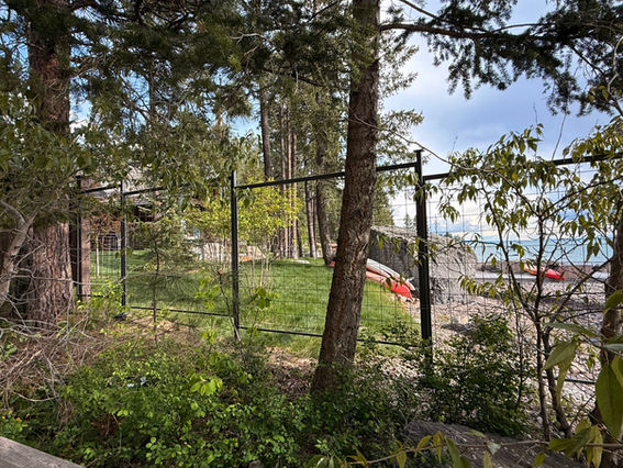 steel fence