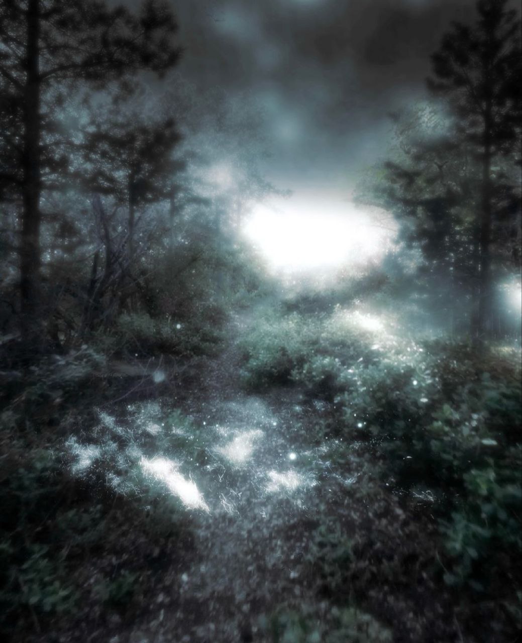 2025-08-10 18.45.39.jpg