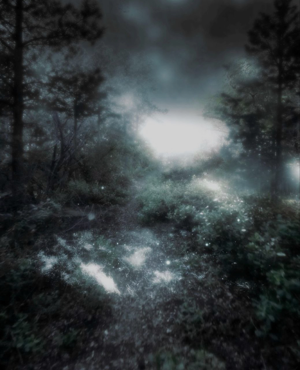 2025-08-10 18.45_edited.jpg