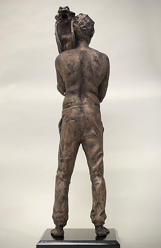 AADustBack SMALL.jpg