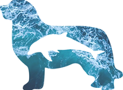 LOGO TURSIOPS_edited_edited.png