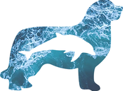 LOGO TURSIOPS.png