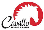 cavallo_edited.jpg