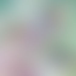 Hummingbirds in progress