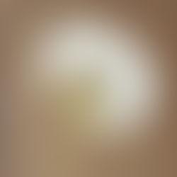 Merry Christmas everyone!