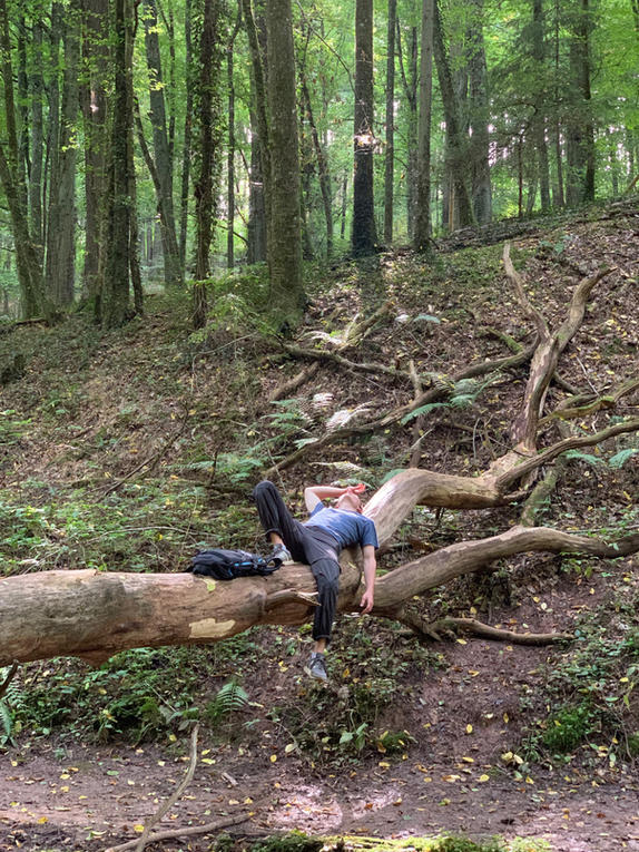 LM auf Baumstamm.jpeg