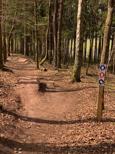 Mountainbiketrail.jpeg