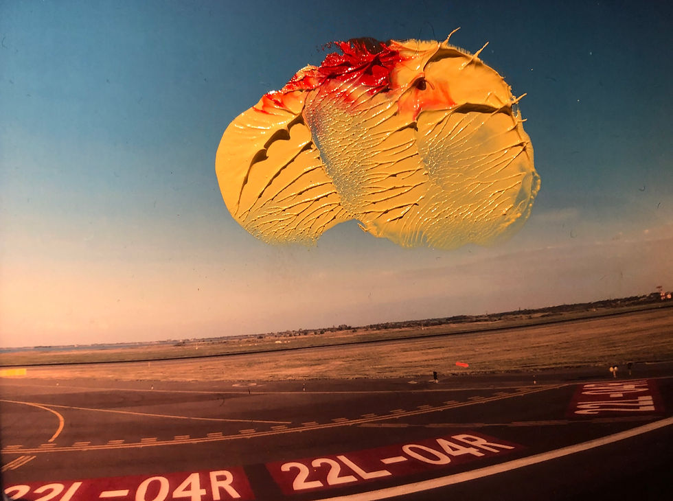Untitled 34, Oil paint on photograph, 2022