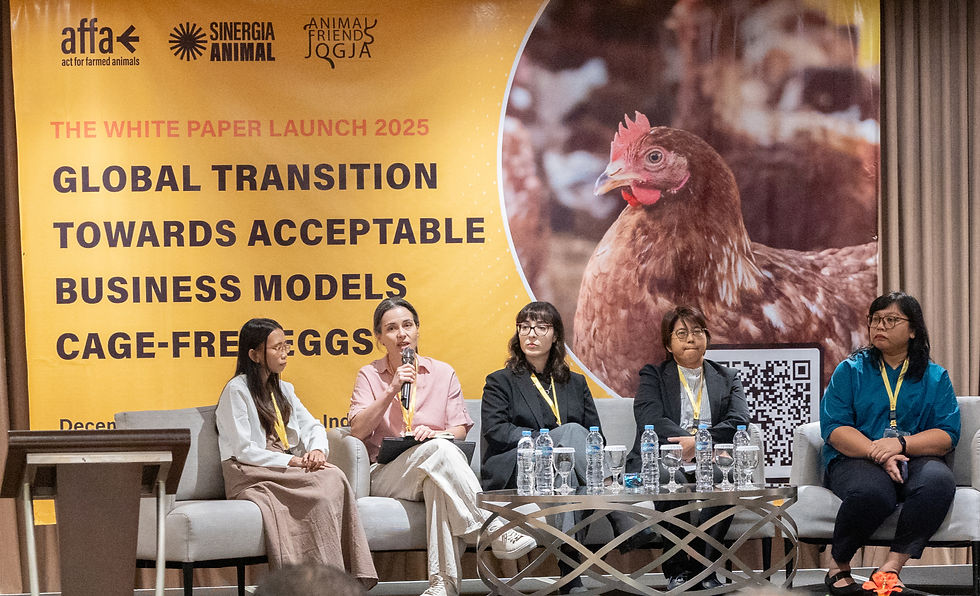 Q&A Session after the Presentation