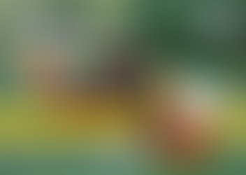 The Missing Ingredient in Asia’s Cage-Free Transition: the 2025 Tracker highlights problematic gaps in Corporate Transparency