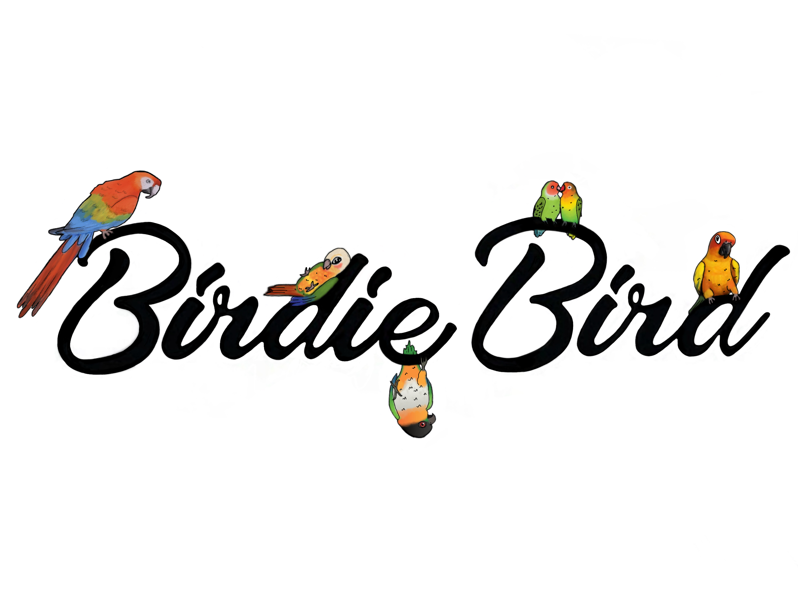 Birdie Bird Aviary logo