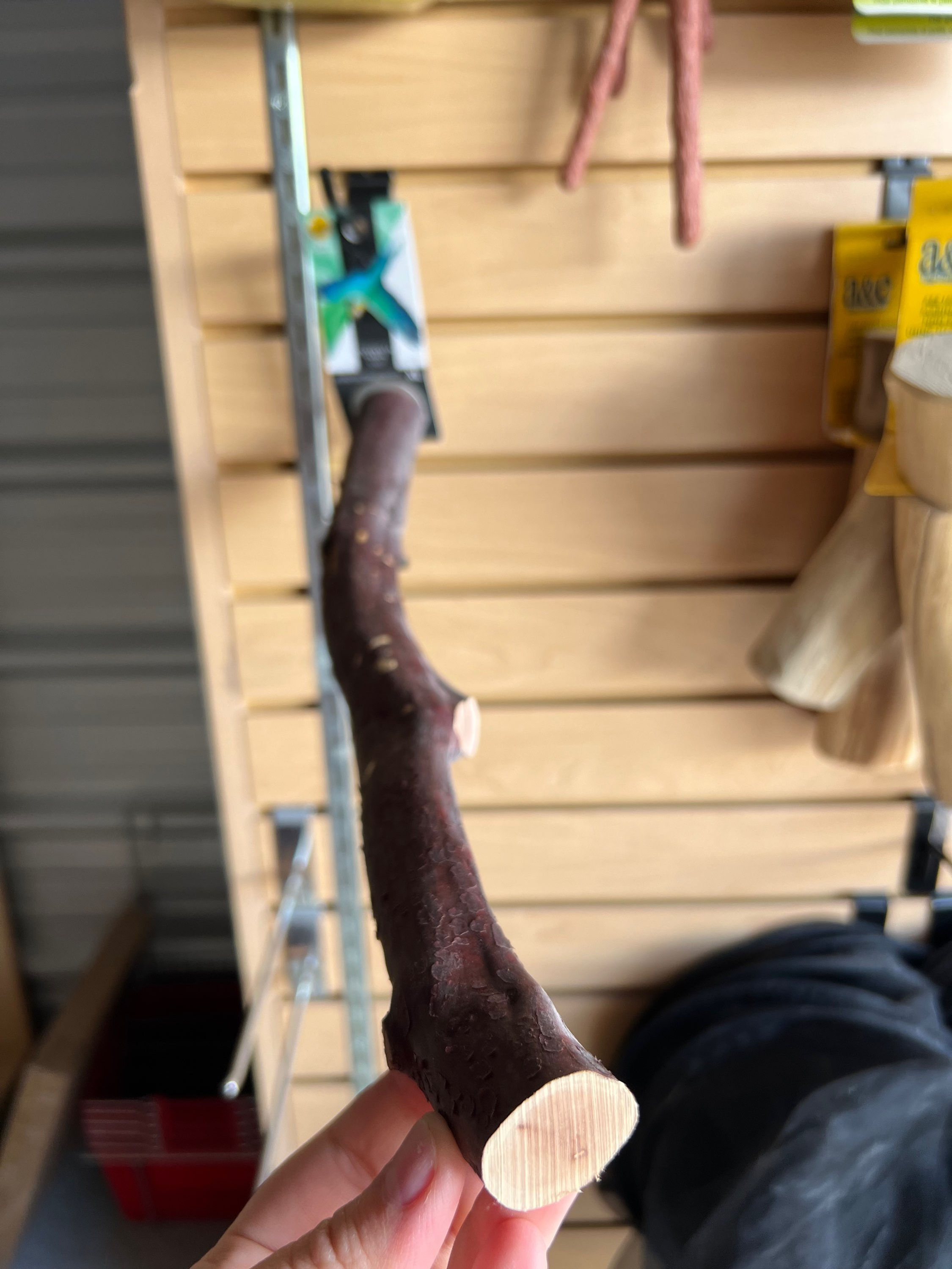 Featherland Paradise - Manzanita Perch - XL