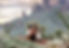 DSC_7766-Edit-Edit.JPG