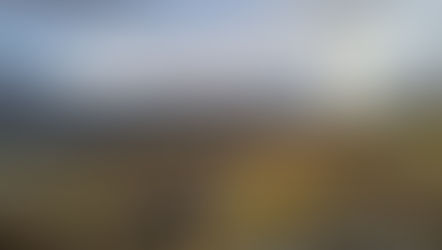 Isabella Bird - nineteenth century adventurer