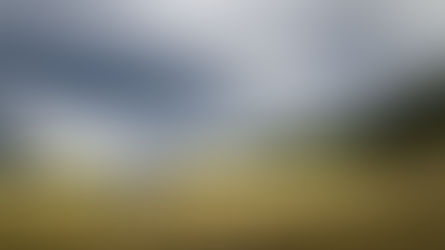 Pamper Mom - Don't Miss THIS!