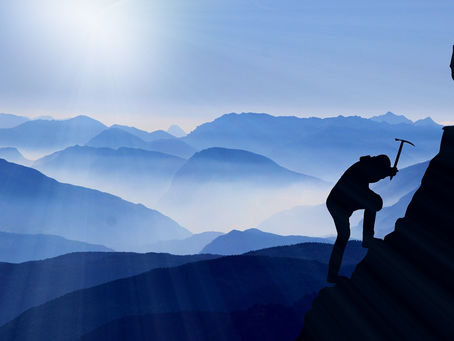 What are you Working for?