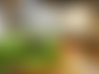 アイ先生おすすめのベトナム料理教室のメニュー2025