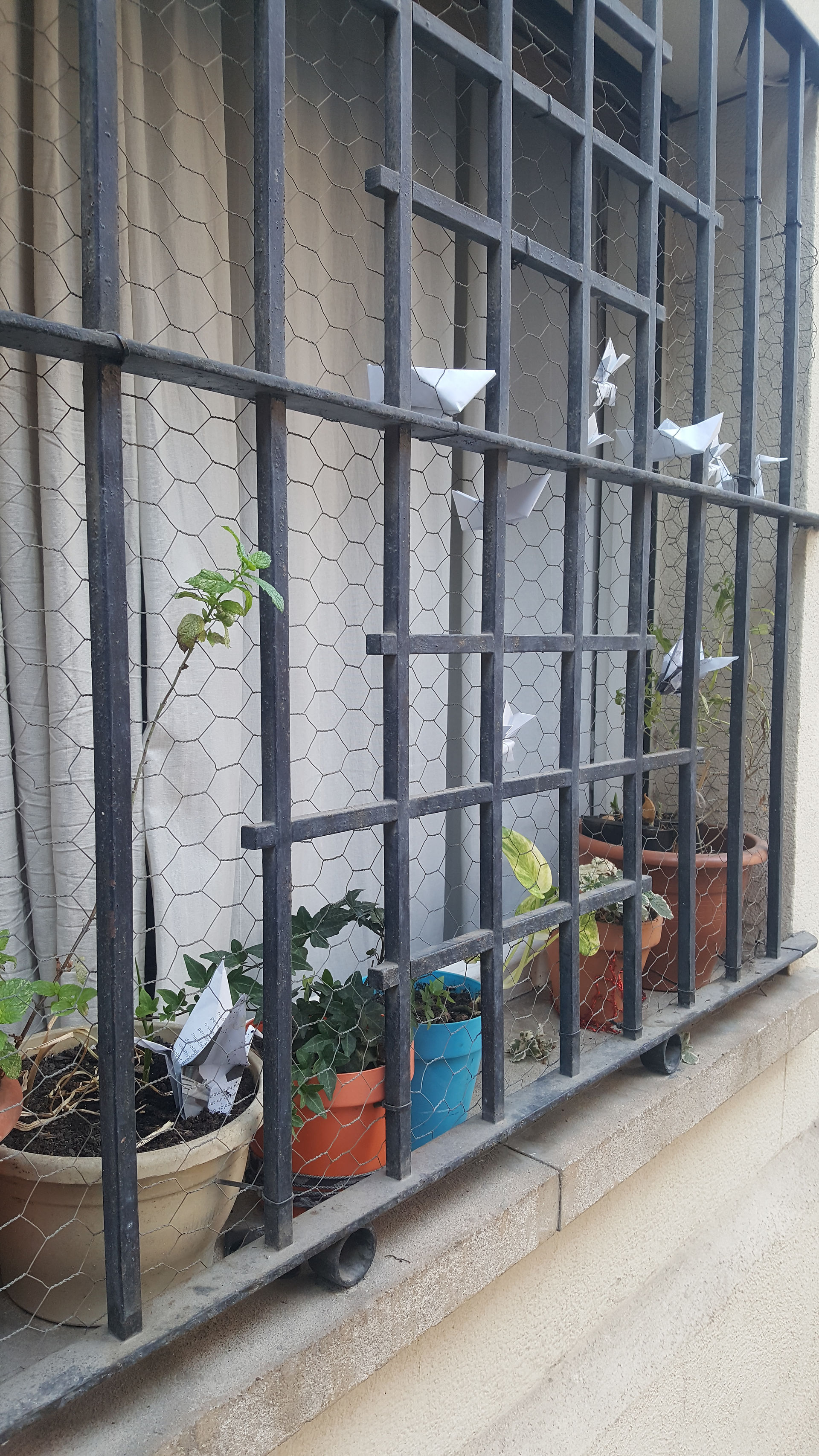 Origamis para los niños 