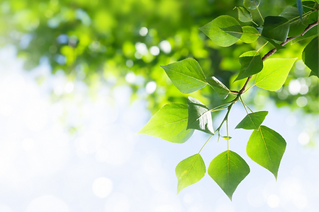 湊川駅・湊川公園駅すぐ