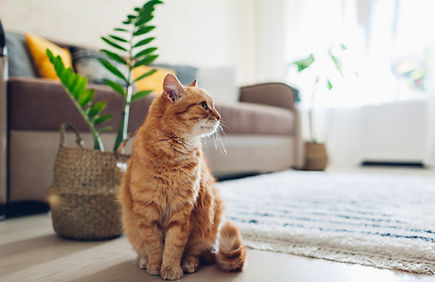 飼育相談・健康相談