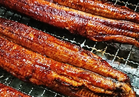 土用丑の日 うなぎ