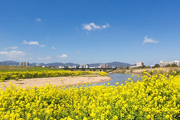 地域に根ざした住まいのパートナー