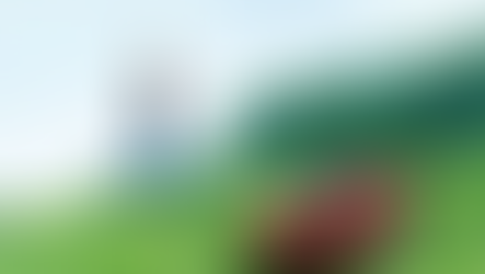 【特集】ラジコン草刈機