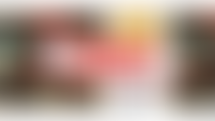 【ご成約済】KB205（トラクター）