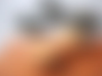 10/18青空販売会