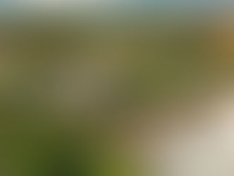 Terra Brasilis prepara novidades para o mercado imobiliário depois de excelentes resultados em 2024