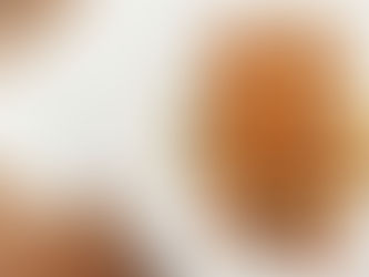 24ª Fortaleza Restaurant Week celebra a “Cozinha dos Campeões”