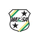 WAGSTournament2025FNL.png