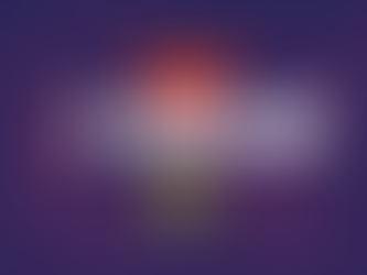 Volleyball Clubs in Maryland