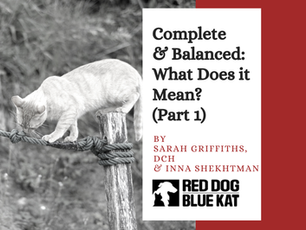 Complete & Balanced (Part 2): Building A Balanced Raw Diet