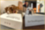 Two dogs excitedly opening a Brindle Pet Supplies delivery box of Canadian-made pet food and treats